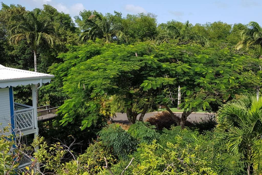 Paradisiac Lagoon Saint-Francois  Extérieur photo